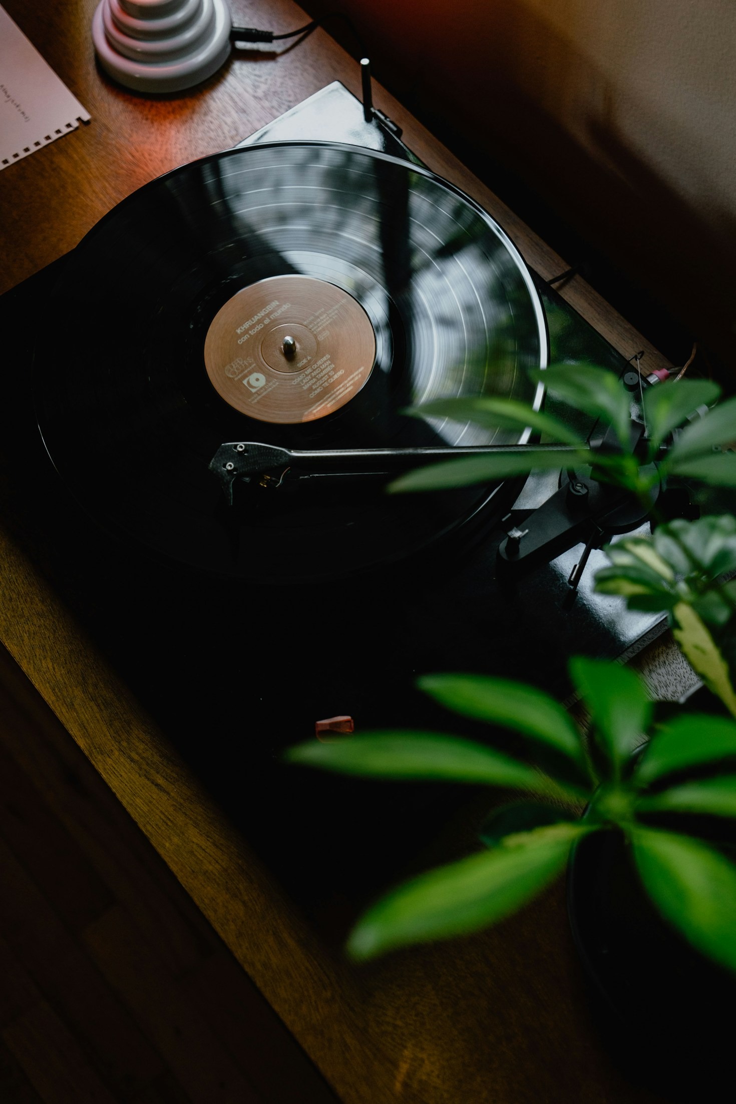 Les secrets des chansons qui soignent l&rsquo;âme